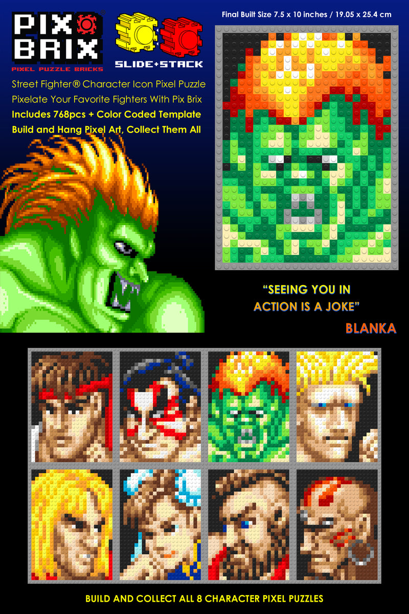 Street Fighter® Blanka Pixel Puzzle Bricks – Order Now! – Pix Brix