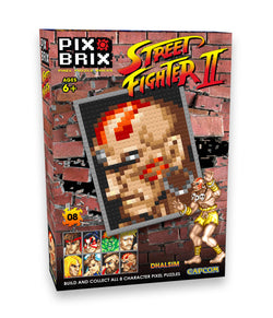 Dhalsim Street Fighter® Pixel Puzzle Bricks 