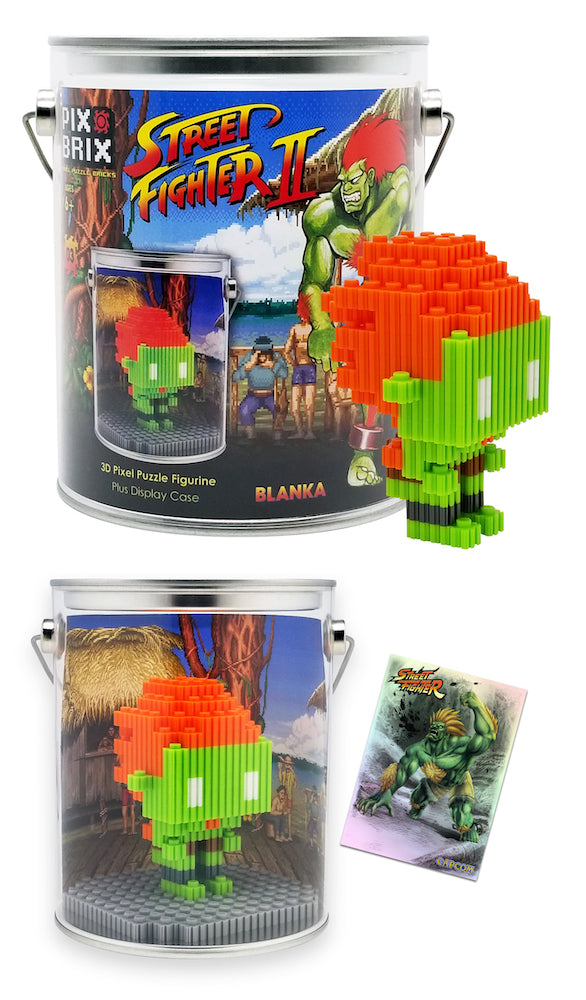 Blanka Bundle Pix brix