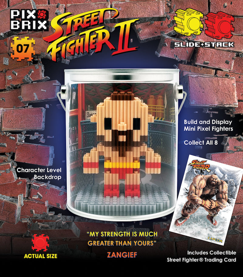 Street Fighter® 3-D Buildable Figurines – Pix Brix